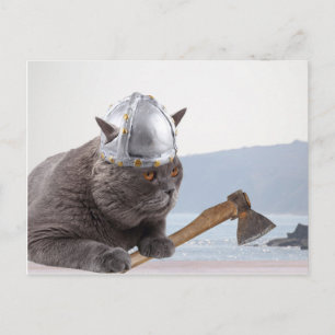 Carte Postale Drôle chat viking