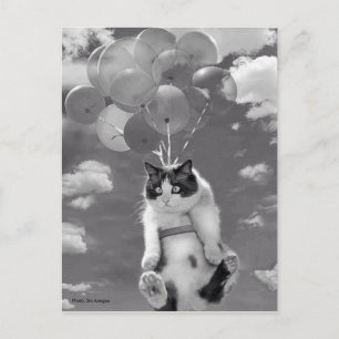 Carte postale : Drôle chat volant avec des ballons