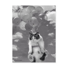 Carte postale : Drôle chat volant avec des ballons