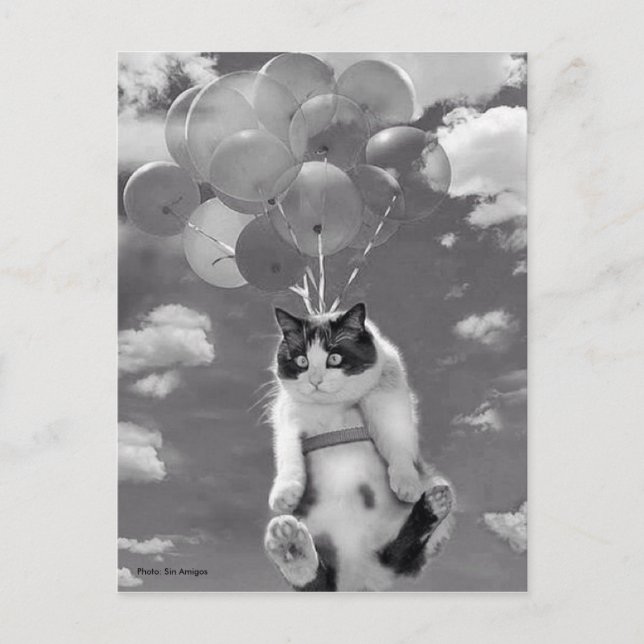 Carte postale : Drôle chat volant avec des ballons (Devant)