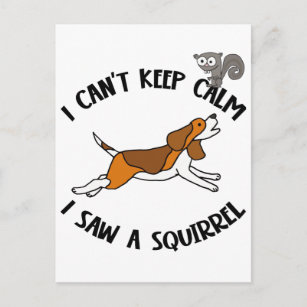 Carte Postale Drôle chien Beagle pourchasser l'écureuil