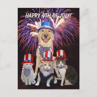 Carte Postale Drôle Chien/Chat 4 juillet