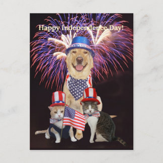 Carte Postale Drôle Chien/Chat 4 juillet