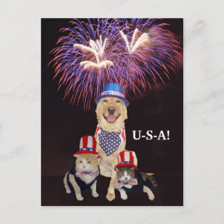 Carte Postale Drôle Chien/Chat 4 juillet