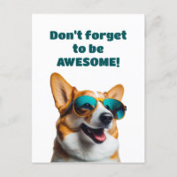 Drôle chien dans les lunettes de soleil N'oubliez