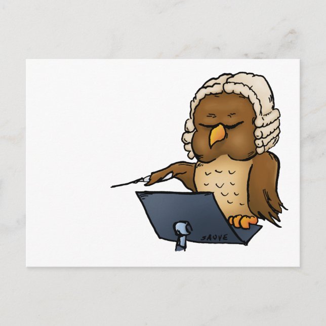 Carte Postale Drôle Chouette (Devant)