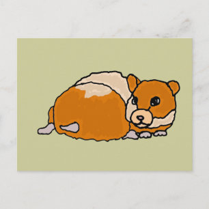 Carte Postale Drôle Curny up Hamster Cartoon