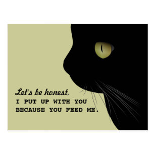 Cadeaux Citation Drole De Chat Zazzle Fr