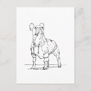 Carte Postale Drôle de Bouledogue Français –  À Tes Pensées