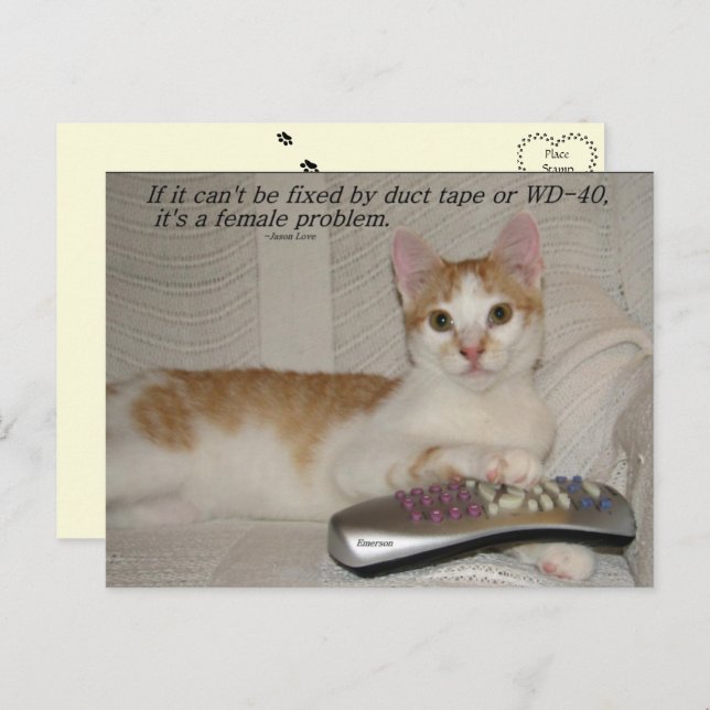 Carte postale drôle de chat avec citation  (Devant / Derrière)