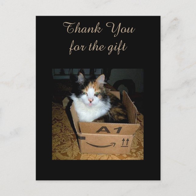 Carte postale drôle de chat calico dans une boîte  (Devant)