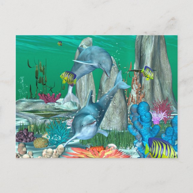 Carte Postale Drôle de jouer des dauphins avec d'autres poissons (Devant)