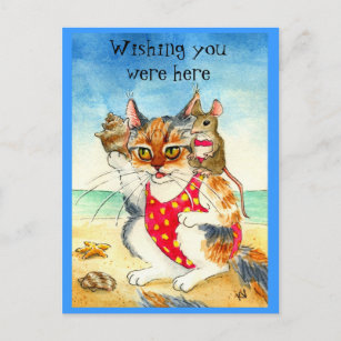 Cartes Postales Humour Chat Vacances Originales Zazzle Fr