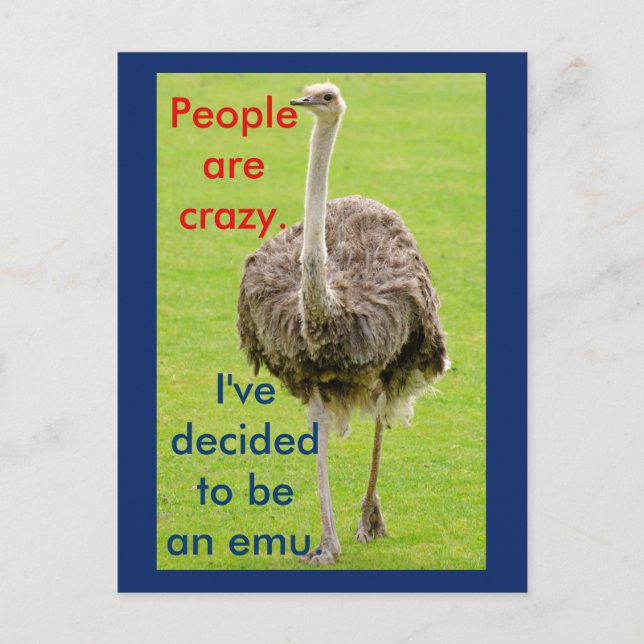 Carte postale drôle d'émeu (Devant)