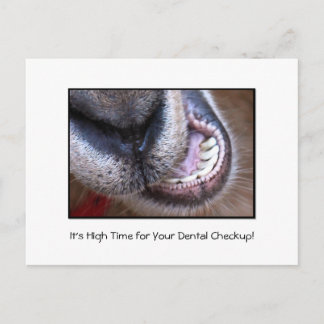Carte Postale Drôle Dental Checkup Rendez-vous rappel Chèvre