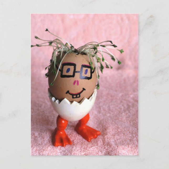 Carte Postale Drôle Eggman Garçon Avec Cheveux Vert (Devant)