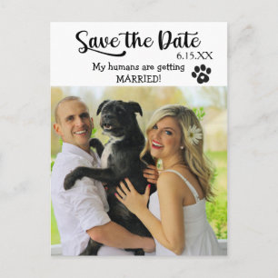 Carte Postale Drôle Enregistrer la date du Mariage avec le chien