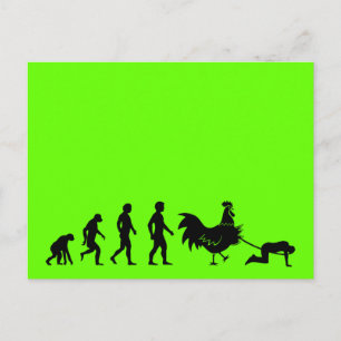 Carte Postale Drôle évolution du poulet