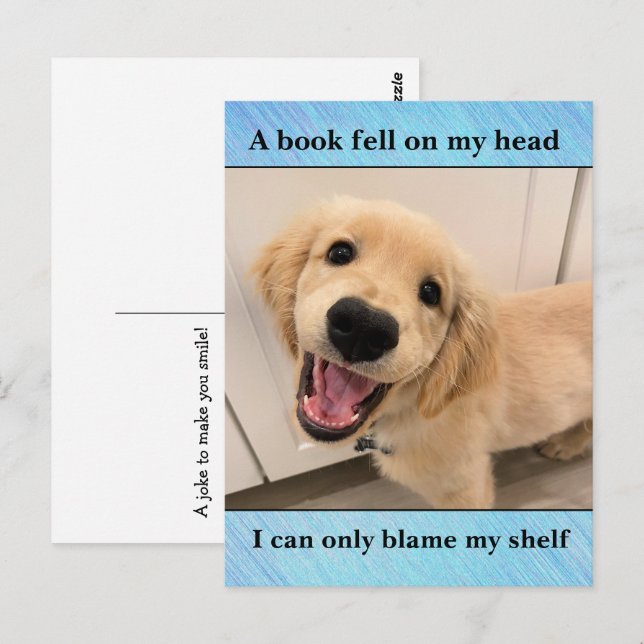 Carte Postale Drôle Golden Retriever livre chien Shelf Joke Mème (Devant / Derrière)