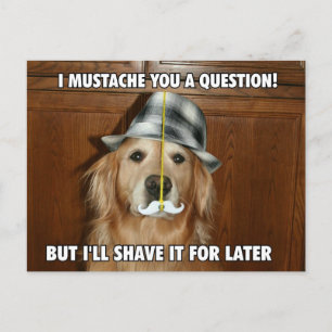 Carte Postale Drôle Golden Retriever Mustache You a question
