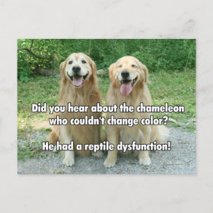 Carte Postale Drôle Golden Retriever Retriever Dysfonction Plais