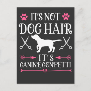 Carte Postale Drôle Groomer Chien Citation Canine Puppy Grooming