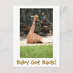 Carte Postale Drôle Humoristique