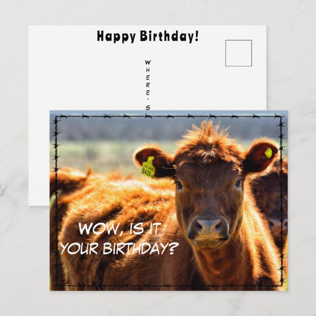 Carte Postale Drôle Joyeux Anniversaire Courrier De La Ferme De  (Devant / Derrière)