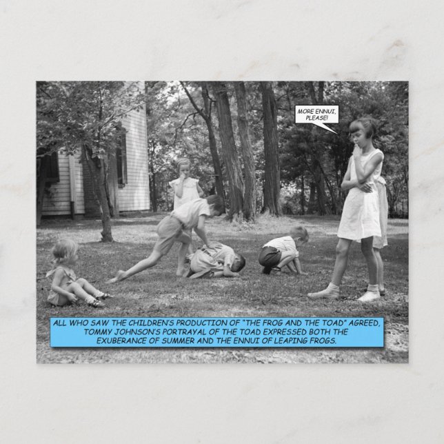 Carte postale drôle - La mare aux grenouilles (Devant)