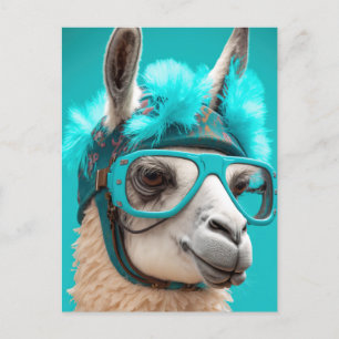 Carte Postale Drôle Llama Alpaca mignonne Animaux Lunettes Casqu