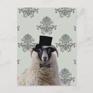 Carte Postale Drôle marié mouton dans le chapeau supérieur