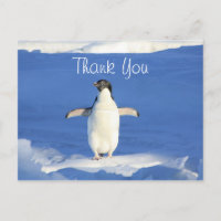 Drôle Merci de pingouin