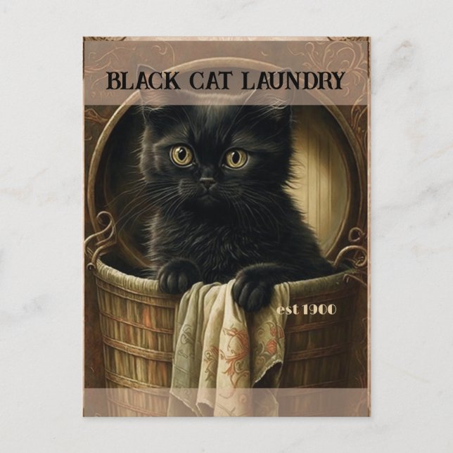 Carte Postale Drôle mignon Linge de chat noir (Devant)