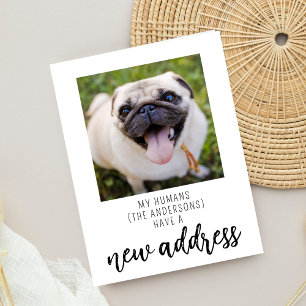 Carte Postale Drôle Nous avons déménagé Nouvelle Adresse Chien P