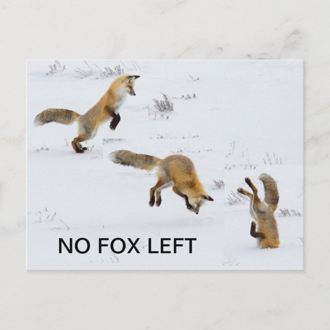 Carte Postale Drôle "Pas de Fox à gauche" (Devant)