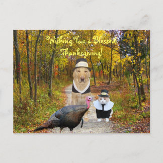 Carte postale drôle personnalisable de