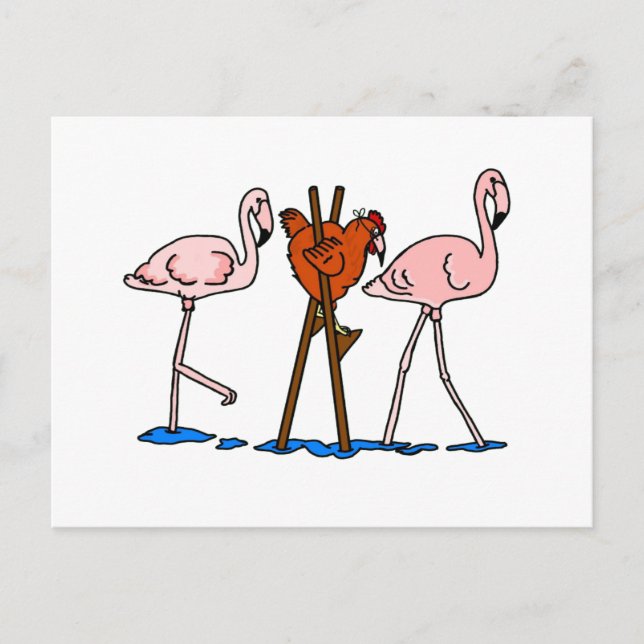 Carte Postale Drôle poulet et Flamants roses (Devant)