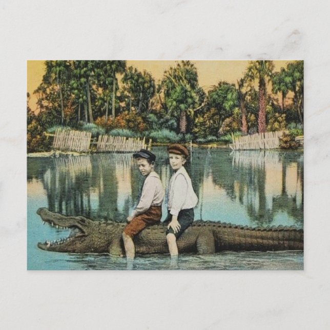 Carte postale drôle Ride'um Gator (Devant)