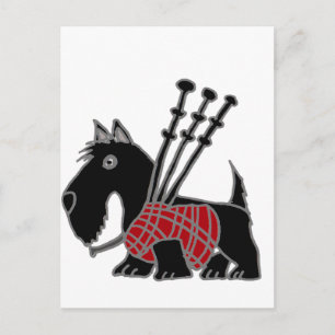 Carte Postale Drôle Scottish Terrier chiot chien Jouer des Bagpi