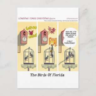Carte Postale Drôles d'oiseaux de Floride "Stand Your Ground"