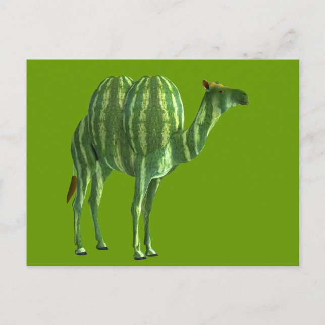 Carte Postale Dromedale de la journée nationale de la pastèque (Devant)