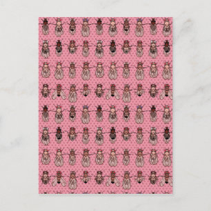 Carte Postale Drosophila Fruit Fly Genetics - mutants - Pink