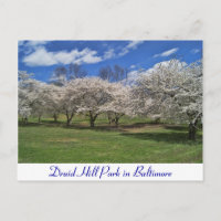 Druid Hill Park au printemps