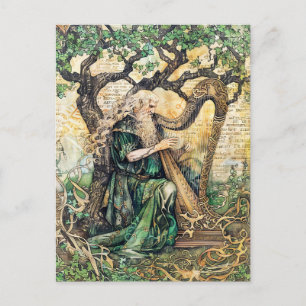 Carte Postale Druide Prêtre sage celtique de la nature