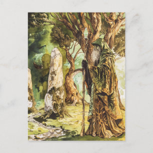 Carte Postale Druide Prêtre sage celtique de la nature