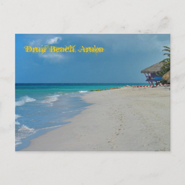 Carte postale Druif Beach Aruba (Devant)