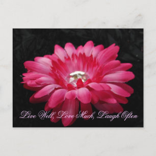 Carte Postale DSC00005 (2), Vis Bien, Aime Beaucoup, Rire Souven