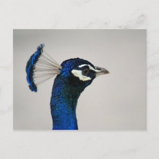 CARTE POSTALE DSC00292