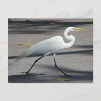 CARTE POSTALE DSC02335