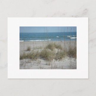 Carte Postale DSC04194, Cocoa Beach, FLPhoto par Julie.B.Carter